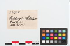 Etiketten zu Perlenkette (NHMW-PRAE-023905)